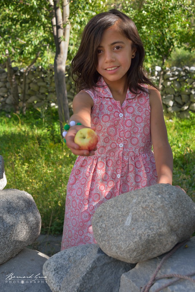 Asiya, jeune fille wakhi de Passu, offrant une pomme dans un verger, vallée de Hunza, Gilgit-Baltistan, Pakistan, le 12 août 2018. Fille de M. Behram Baig.
