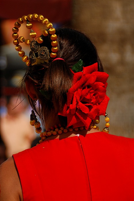 Jeune femme vue de dos, portant une grande fleur rouge et un ornement de perles dans les cheveux à la Feria de Jerez de la Frontera