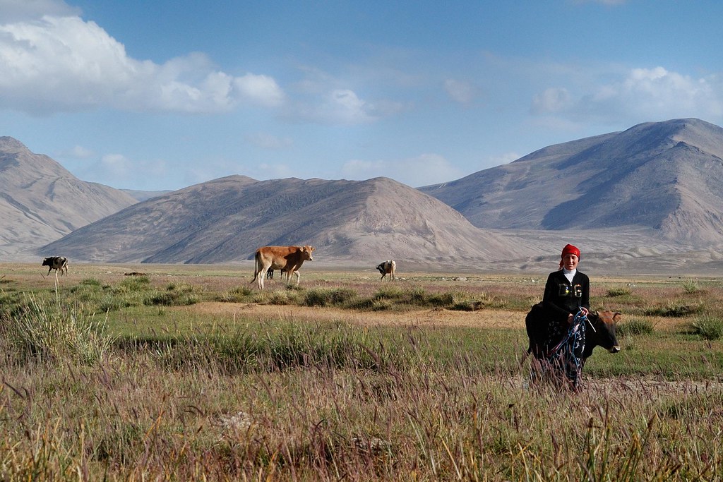 Femme tadjike à Bulunkul, dans le Pamir, à 3 740 m d’altitude, le 30 juillet 2011. Dans le Pamir, les femmes utilisent traditionnellement un foulard pour protéger leur visage du soleil et du vent sec.