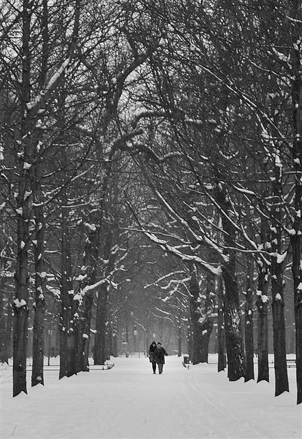 Paysage enneigé dans le Tiergarten à Berlin, en noir et blanc.