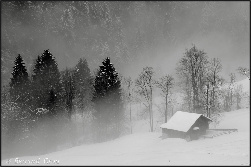Paysage enneigé à Habkern, dans l'Oberland bernois en Suisse, en noir et blanc.