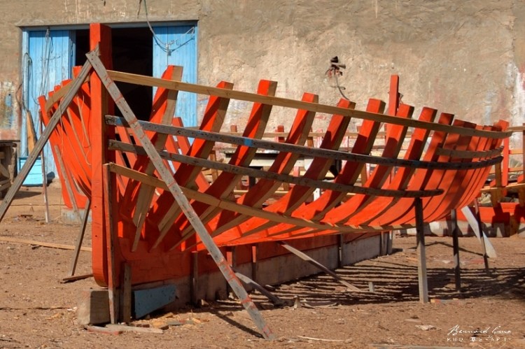 Bernard Grua - Une flouka en attente de ses bordés . La structure, quille, étrave, membrures et barreaux de ponts est aujourd'hui construite en bois d'eucalyptus (précédemment en olivier). Les bordés et le pont sont en pin du nord appelé localement "sued" ou "suet'" (Suède). Chantier Naval de Mouldi Arous et de son fils Mabrouk, El Attaya, Kerkennah, Tunisie. 2 octobre 2019