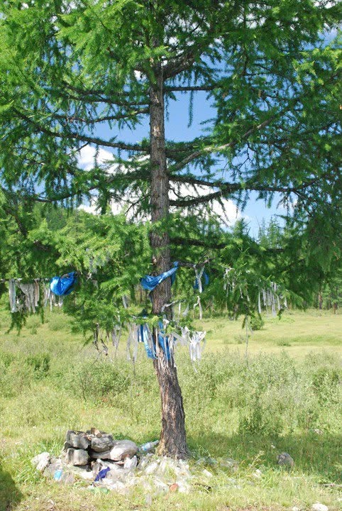 Monts Saïan orientaux, photographie de Bernard Grua : arbre votif