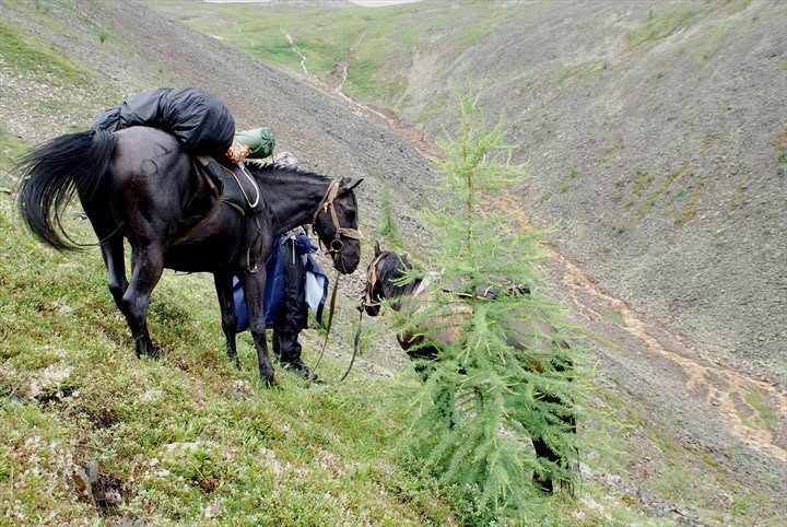 Monts Saïan orientaux, photographie de Bernard Grua : route de Batagol, Macha et son cheval dans une descente abrupte