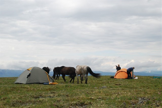 Monts Saïan orientaux, photographie de Bernard Grua : route de Batagol, bivouac 