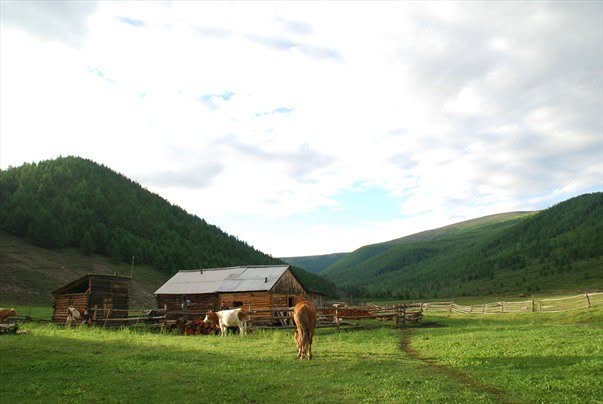 Monts Saïan orientaux, photographie de Bernard Grua : Estive de Boldokte. Ici, les clôtures sont destinées à tenir le bétail à l'écart des habitations et non pas à le parquer.
