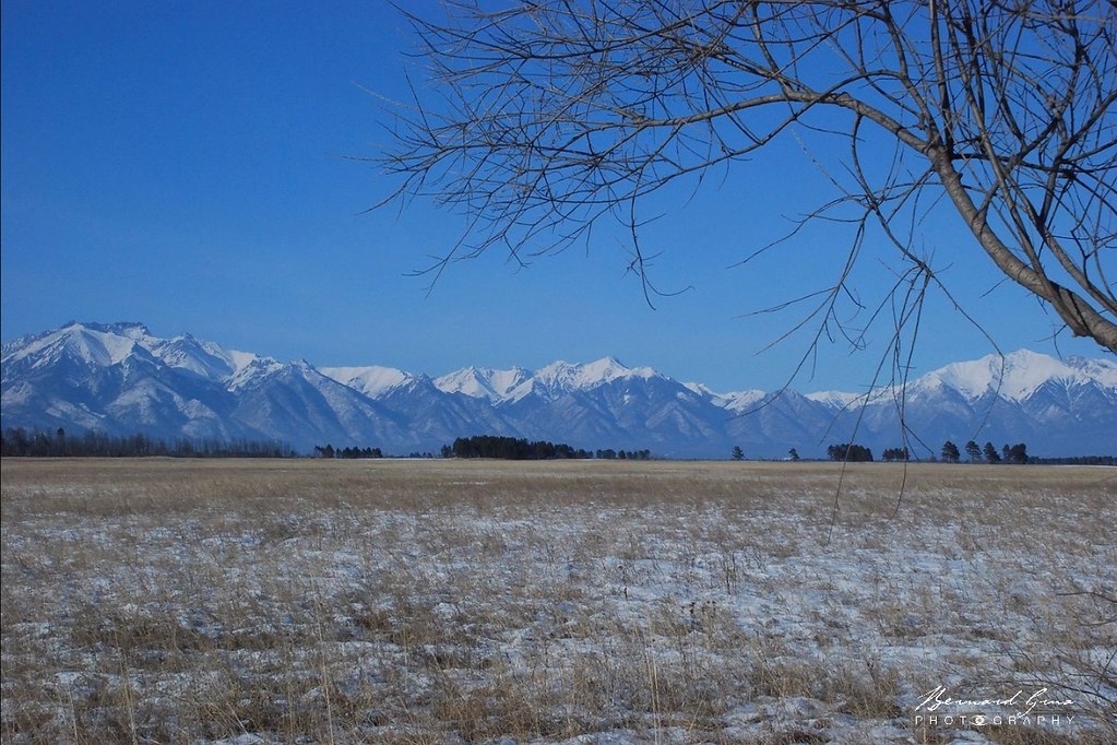 La steppe et la taïga occupent la dépression de la Tounka chargée d'alluvions :copyright: Bernard Grua