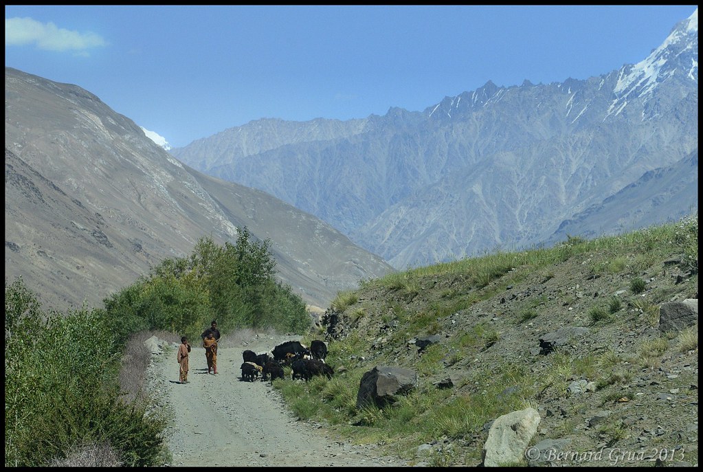 Jeunes bergers wakhis avec leur troupeau dans le corridor du Wakhan, entre Eshkashem et Qazideh, Badakhchan, Afghanistan, le 28 juillet 2013. En arrière-plan, le Pamir tadjik et les sommets de l’Hindu Kush.