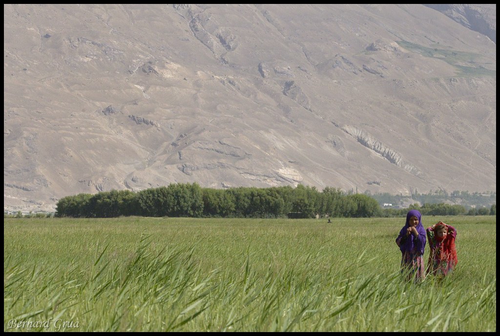 Enfants wakhis dans les champs, dans le corridor du Wakhan entre Qazideh et Khandud, Badakhchan, Afghanistan, le 31 juillet 2013.