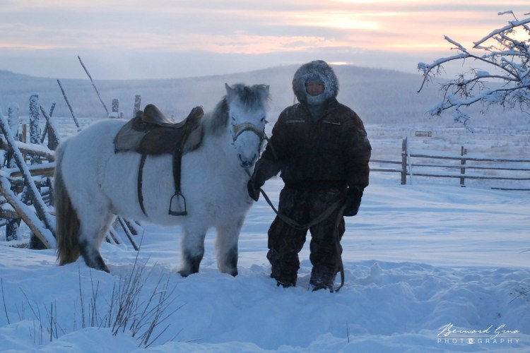 Cavalier iakoute et son cheval dans le givre, par -50°C - Tomtor, Iakoutie, Sibérie