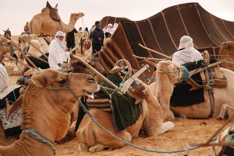 Festival du Sahara, à Douz, Tunisie